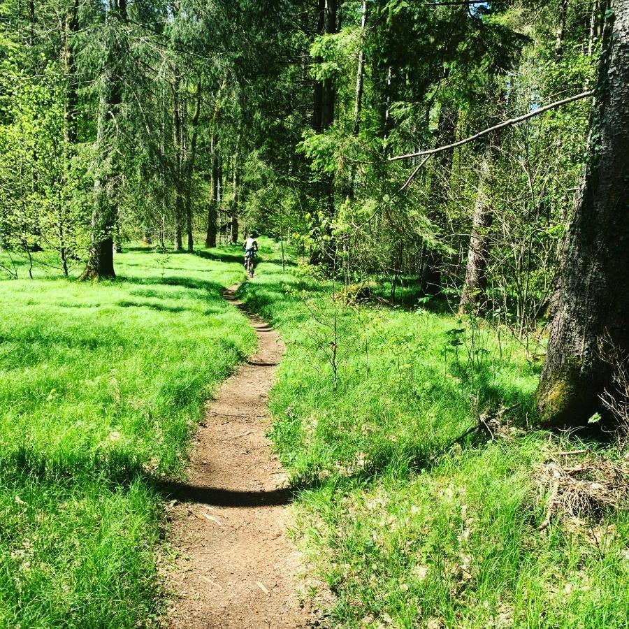 Hjem - Tiny Homes Direkt Am Wald Zwischen Allgaeu & Bodensee Bergatreute Экстерьер фото